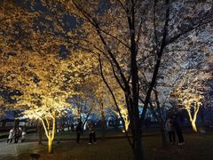 -栖露营camping·天幕烧烤·团建拓展·采摘营地