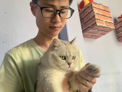 -喵屿·大理花园猫咖