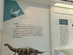 -安徽省地质博物馆