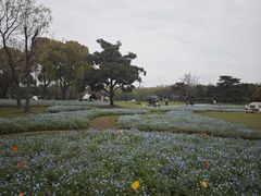 -上海滨江森林公园