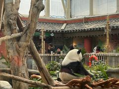-香港海洋公园