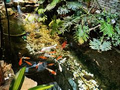 -聚缘堂·海鲜私房菜(松岭路店)