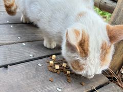 -味中味休闲小吃(同济路店)