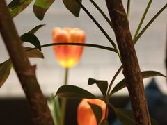 景观位-一坐一忘云南菜(北京skp店)