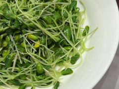 -紫阳富豪大酒店(惠南店)