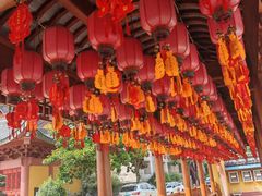 -上海东林寺(金山区)