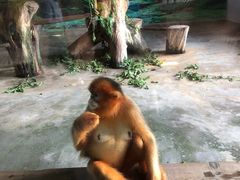 -大连森林动物园