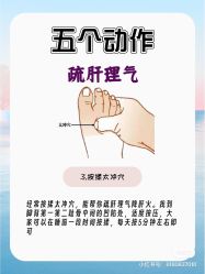 -香薇妮丝女子减肥院
