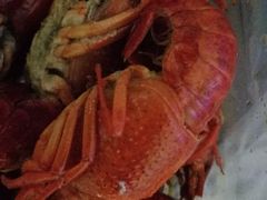 -陈氏龙虾·干锅鸭头