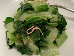 -老吉堂上海本帮菜(望京万象汇店)