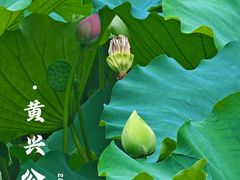 -黄兴公园
