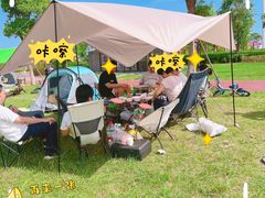 -春花秋色城市公园