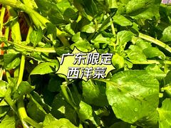 -金新街边打边炉(天安花园店)