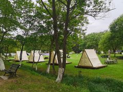 -宜兴龙背山森林公园