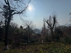 -莫干山风景区