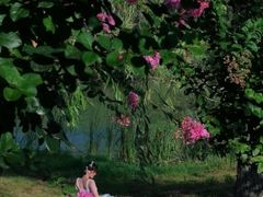 -艾溪湖湿地公园