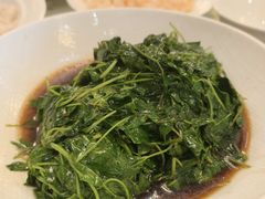 金花菜酒香-新聚丰菜馆(太监弄店)
