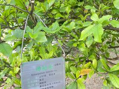 -广州神农草堂中医药博物馆