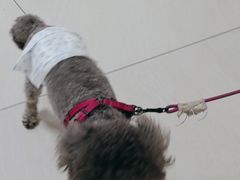 -美联众合动物医院·24h京西诊疗中心