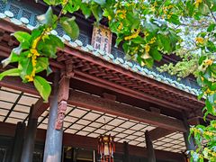 -浙江省博物馆(孤山馆区)