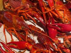 -巴厘龙虾·榜首油焖大虾(音乐学院·沿江酒馆店)
