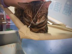 -小时光咖啡馆(开森度假森林店)