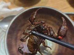 -一朵菌·野生菌探索家火锅(南亚店)