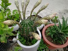 -上海西上海奥杰奥迪汽车销售有限公司(真如店)