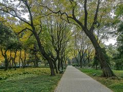 -玲珑塔公园