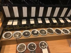 -去茶山