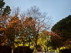 -天鹅湖体育公园