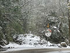 -龙苍沟森林公园