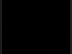 -同庆堂(解放北路店)