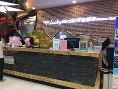 -金吉鸟健身游泳