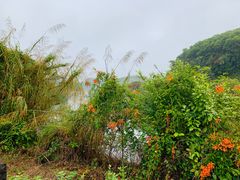 -梅州雁山湖国际花园度假区