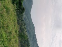-妙峰山风景名胜区