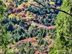 -北京西山国家森林公园