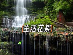 -碧峰峡风景区