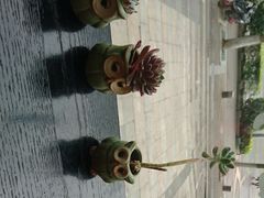 -爸爸糖吐司面包(南京奥体店)