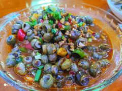 -全乐鱼馆·淳牌有机鱼直营店