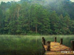 -铁山坪森林公园