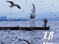 -西昌邛海湿地