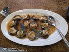 -欢乐海岸美食联盟