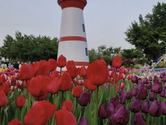 -厦门园林博览苑