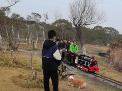-上海都市菜园