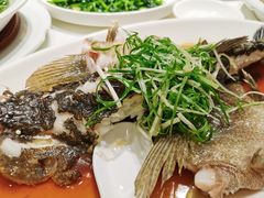 蒸鲈鱼-渔意楼·驰名沙田乳鸽(五羊旗舰店)