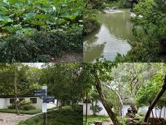 -上海醉白池公园