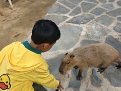 -南戴河国际娱乐中心