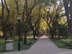-玲珑塔公园