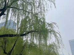 -天鹅湖体育公园